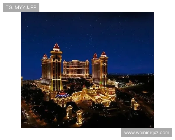 澳门博彩娱乐有限公司全面解析其发展历程与未来战略布局